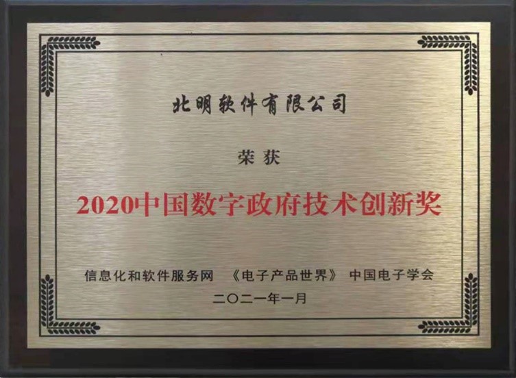2021-1-11中国数字政府技术创新奖.jpg